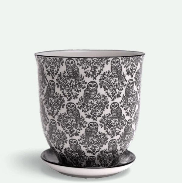 Black Owls Porcelain Pot with Saucer 3.25″