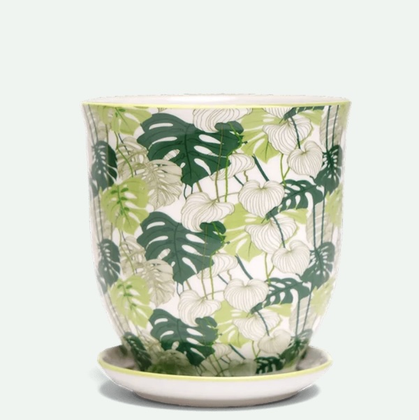 Monstera Porcelain Pot with Saucer 3.25"