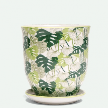 Monstera Porcelain Pot with Saucer 3.25"