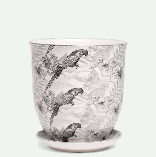 Parrot Porcelain Pot with Saucer 3.25″