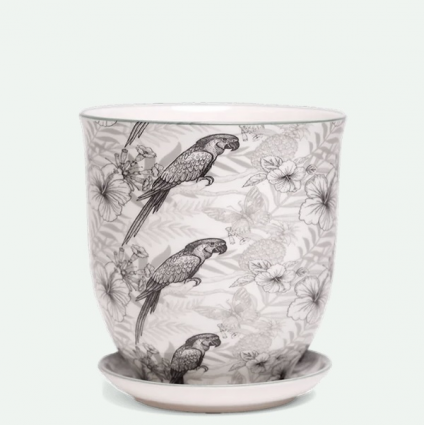 Parrot Porcelain Pot with Saucer 3.25″