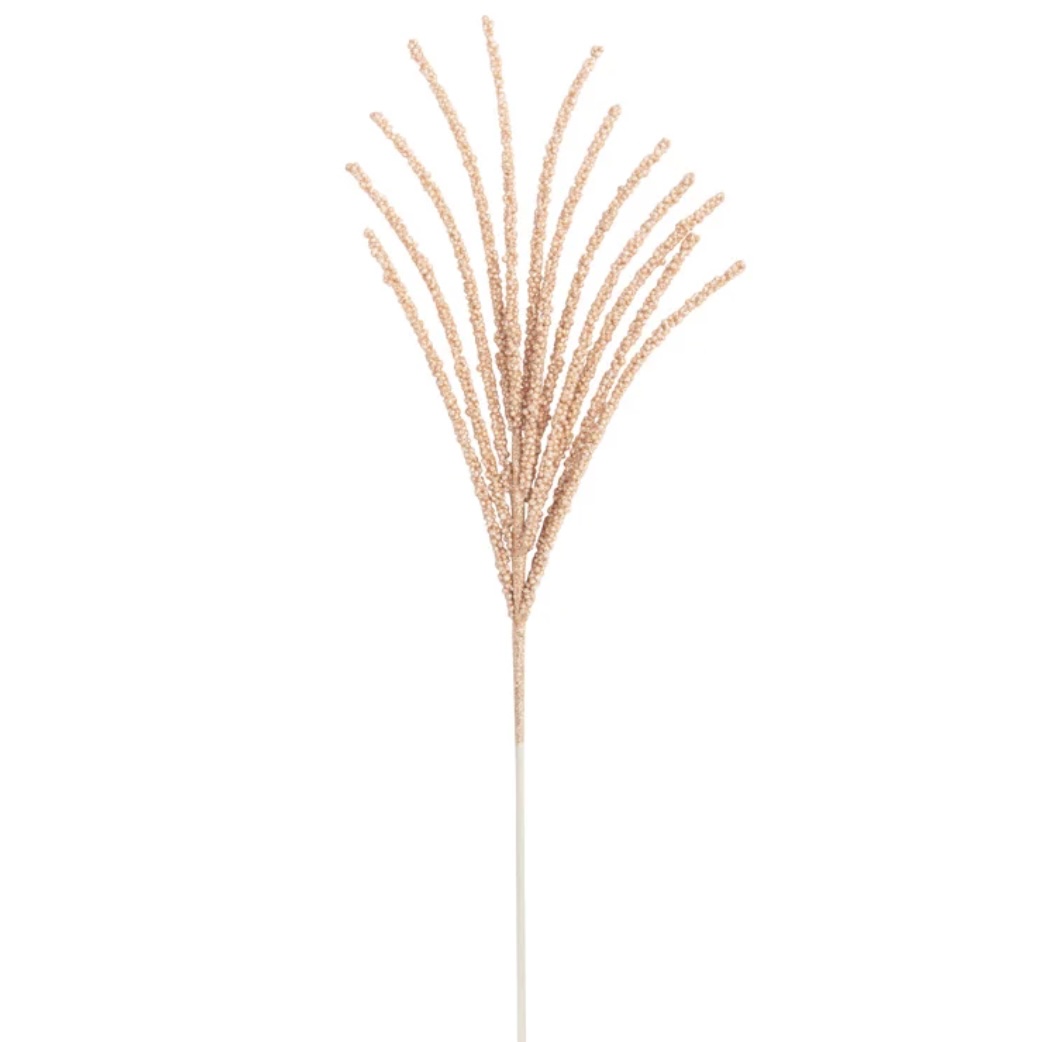 Apricot Spike Christmas Spray