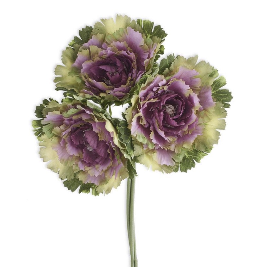 Purple Ornamental Cabbage Bundle 11.5″
