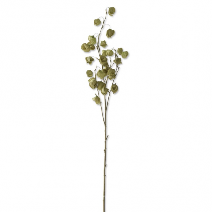 Green Apple of Peru Artificial Stem 40″