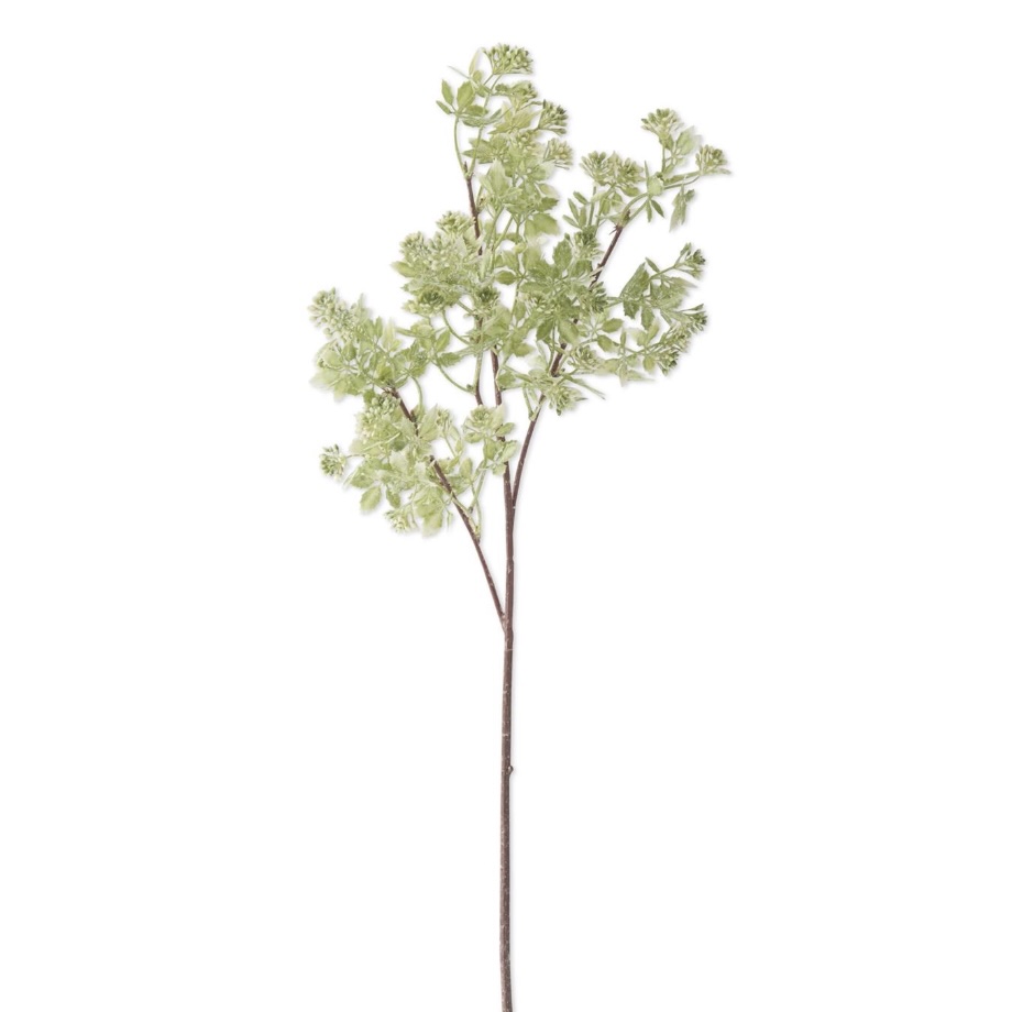 Hoary Cress White Bud Spray 27"