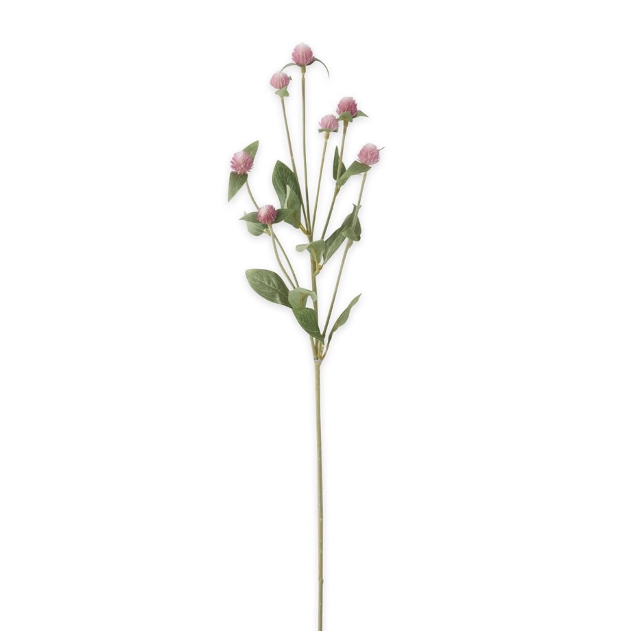 Pink Globe Amaranth Spray 28"