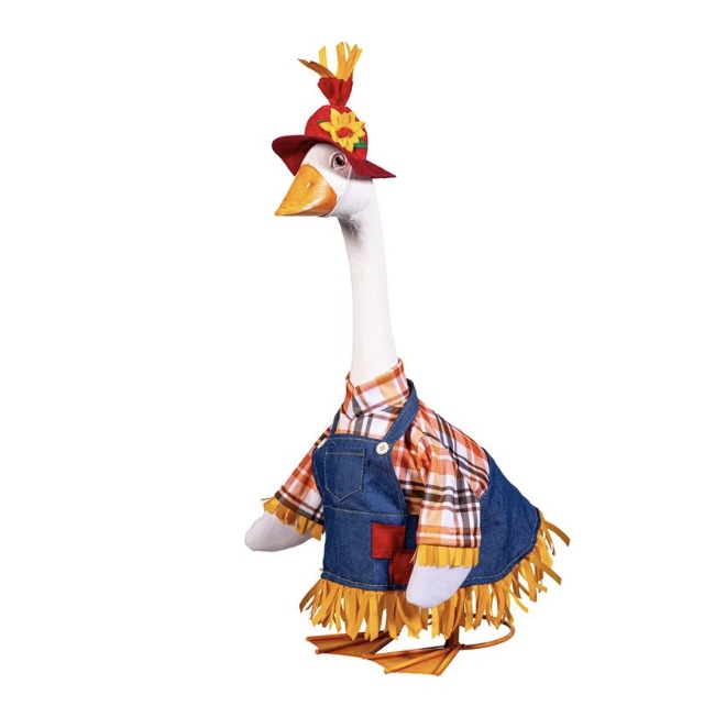 Garden Goose &amp; Accessories