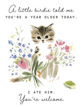 A Little Birdie Birthday Card