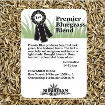Premier Bluegrass Blend Grass Seed 50 lb