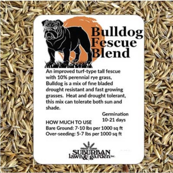 Bulldog Fescue Mix Grass Seed 25 lb