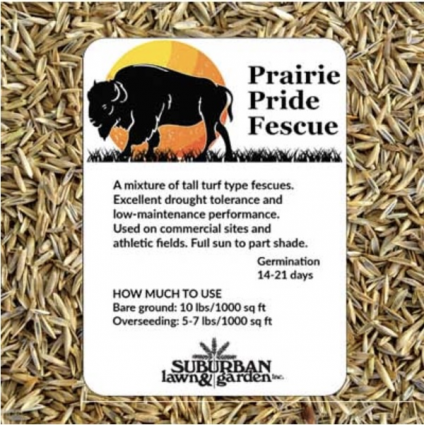 Prairie Pride Fescue Grass Seed 50 lb