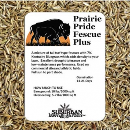 Prairie Pride Fescue Plus Grass Seed 3 lb