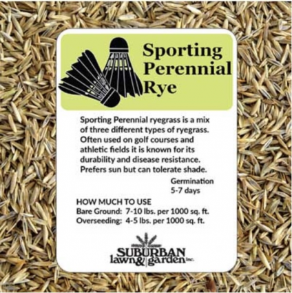 Sporting Special Perennial Ryegrass Seed 25 lb