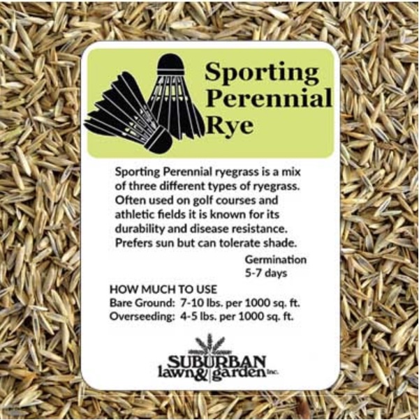 Sporting Special Perennial Ryegrass Seed 3 lb