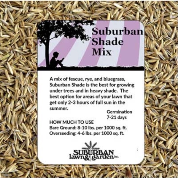 Suburban Shade Mix Grass Seed 50 lb