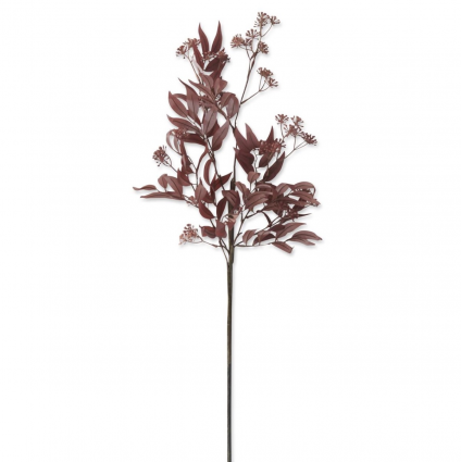 Burgundy Eucalyptus Bud & Foliage Stem 31″