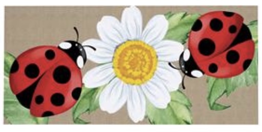 Welcoming Ladybugs Sassafras Switch Mat