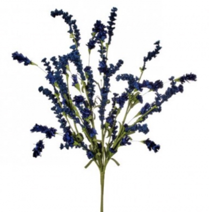 Dark Blue Clover Bush 23″