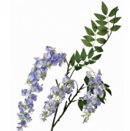 Blue Wisteria Branch 38″