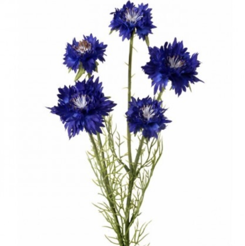 Dark Blue Coneflower Stem 22″