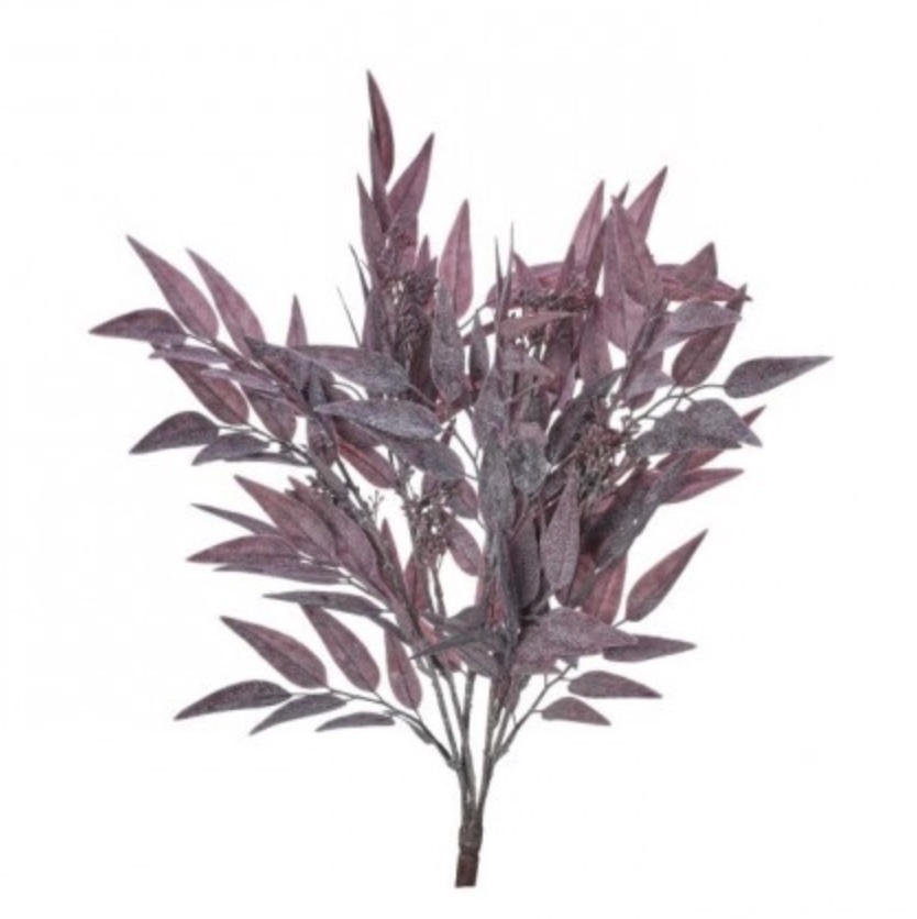 Burgundy Seeded Bay Leaf Bush 21″