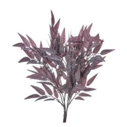 Burgundy Seeded Bay Leaf Bush 21″