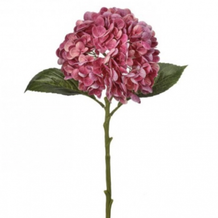 Hydrangea Beauty Stem 18.5″