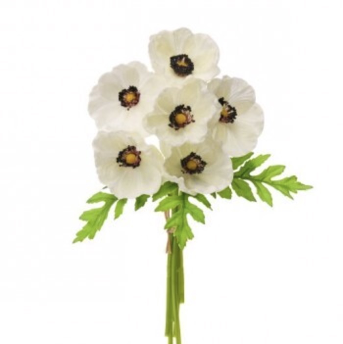 Cream Anemone Bundle 11″