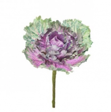 Plum/Green Ruffle Kale Pick 7″