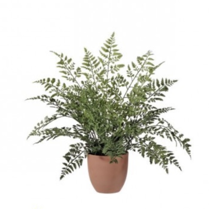 UV Natural Touch Maiden Fern Potted Plant 19″