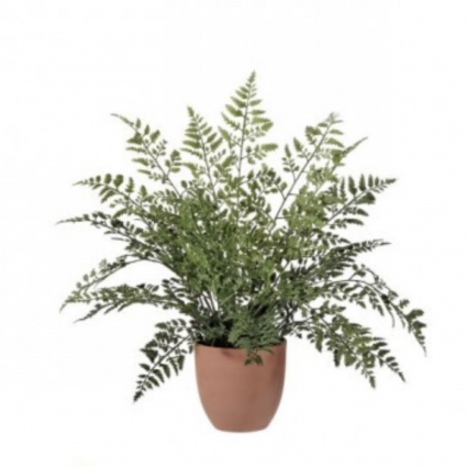 UV Natural Touch Maiden Fern Potted Plant 19″