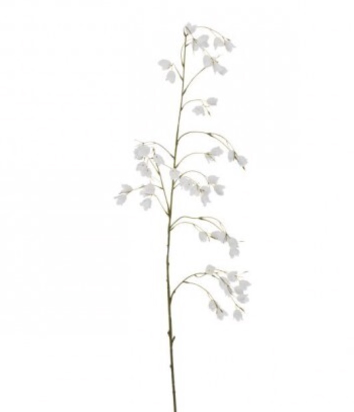 White Mini Campanula Spray 43″