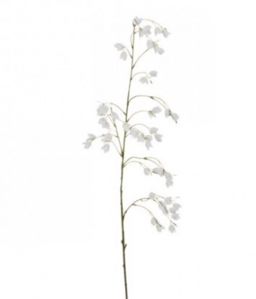 White Mini Campanula Spray 43″