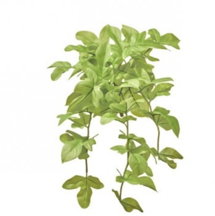 Hanging UV Sweet Potato Plant 25″