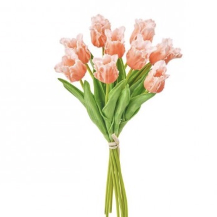 Peach Parrot Tulip Bunch 13″