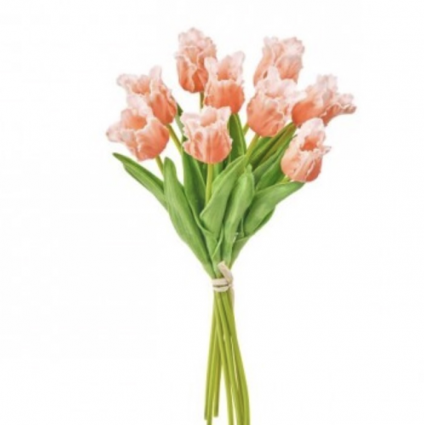 Peach Parrot Tulip Bunch 13″