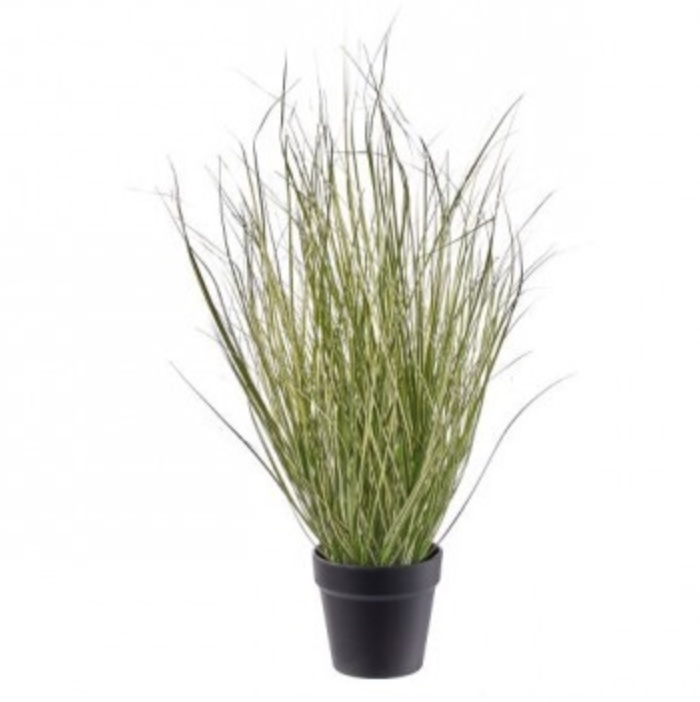UV Potted Switch Grass Plant 26″