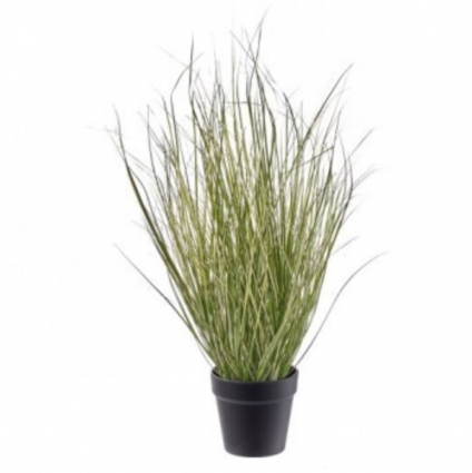 UV Potted Switch Grass Plant 26″