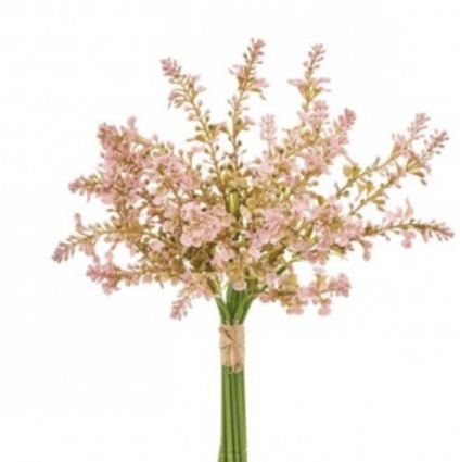 Coral Salvia Bundle 13″