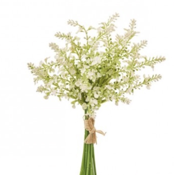 Cream Salvia Bundle 13″