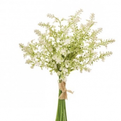 Cream Salvia Bundle 13″