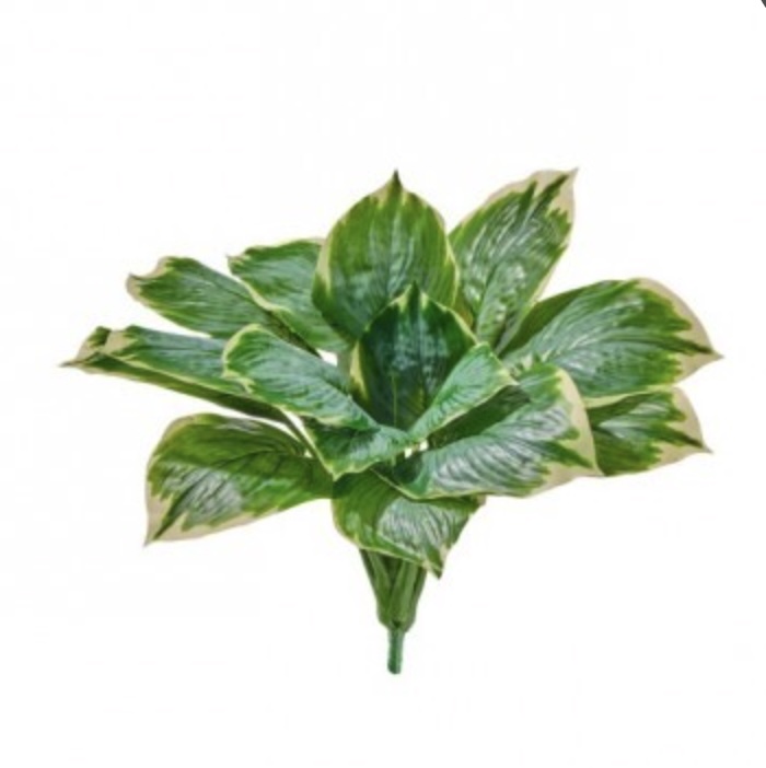 UV Green/Yellow Heart Hosta Stem 18″
