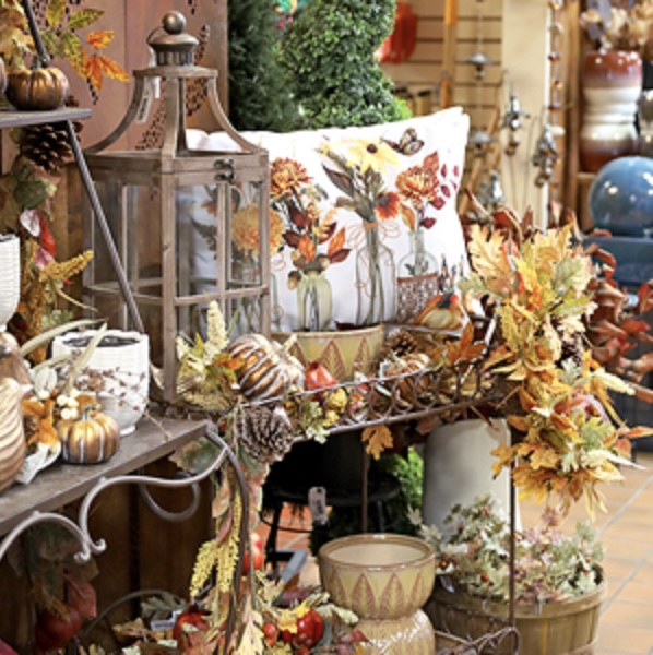 HALLOWEEN &amp; FALL HOLIDAYS