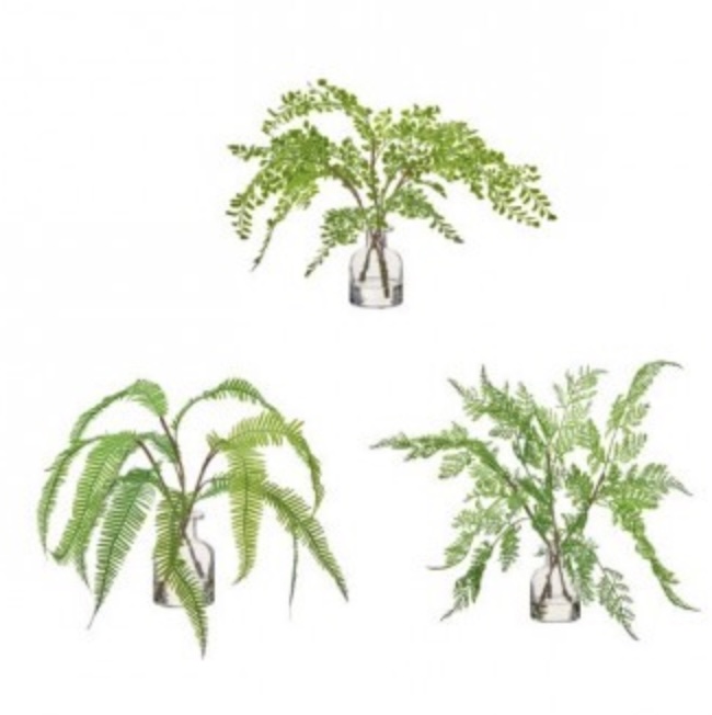 Natural Touch Fern in Bottle 12″ � Assorted