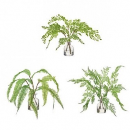 Natural Touch Fern in Bottle 12″ � Assorted