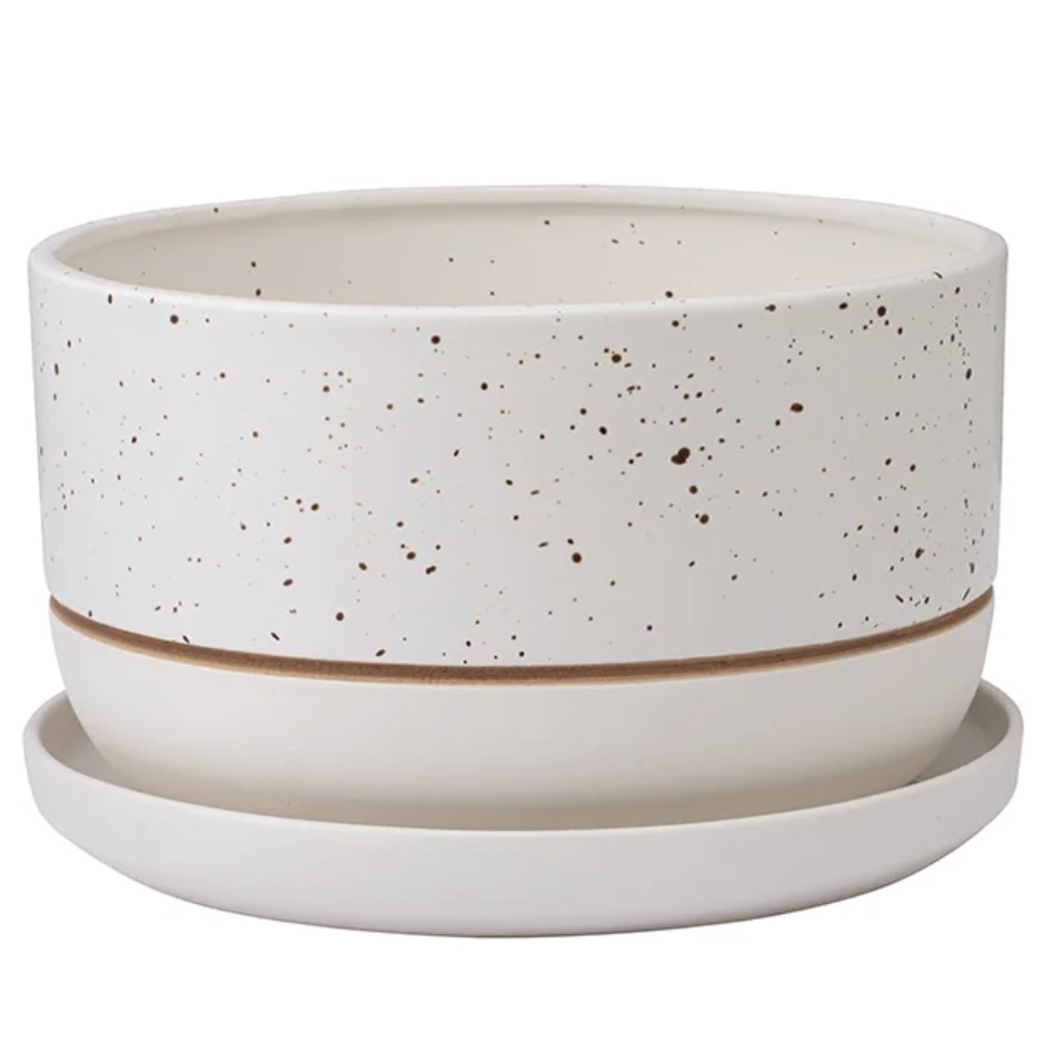 White Speckled Ceramic Planter with Saucer 8.25″