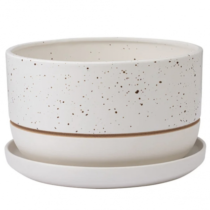 White Speckled Ceramic Planter with Saucer 8.25″