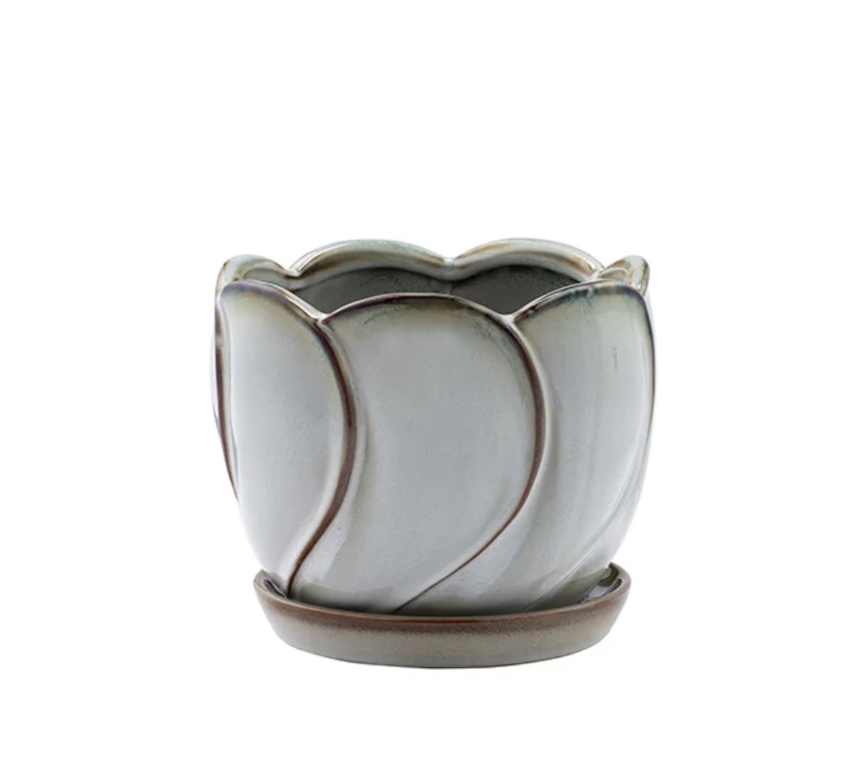Textured Fan Ceramic Planter with Saucer 6.5″