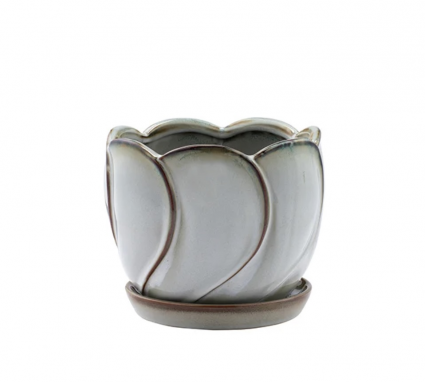 Textured Fan Ceramic Planter with Saucer 6.5″