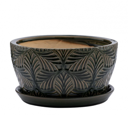 Large Green Palm Ceramic Dish Garden with Saucer